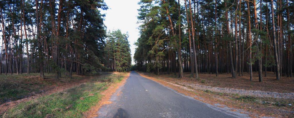 Лабурівка з panoramio.com - Лабуревка