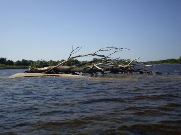 Прохорівка з panoramio.com - Prokhorivka