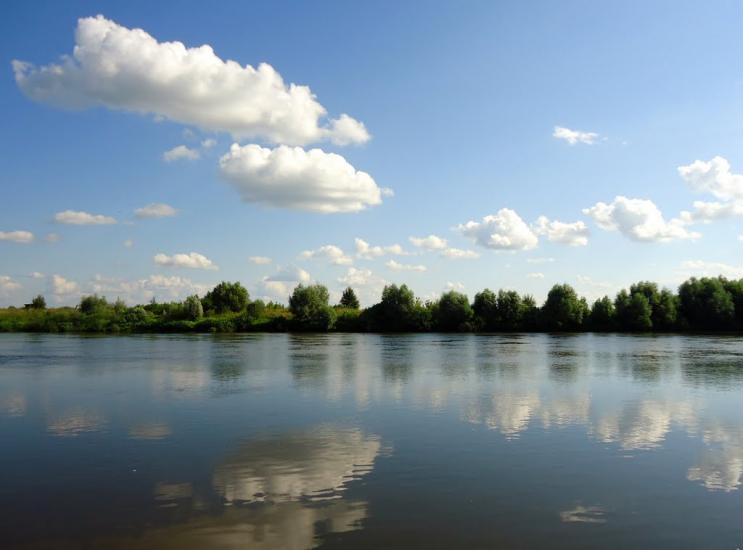 Араповичи з panoramio.com - Араповичи