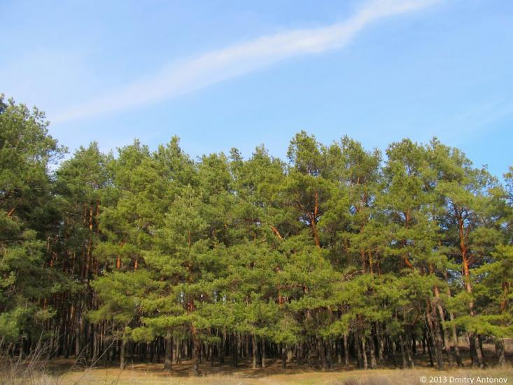 Широке з panoramio.com - Широкое