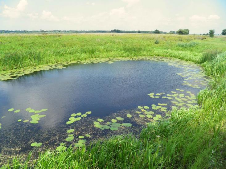 Єньків з panoramio.com - Еньков