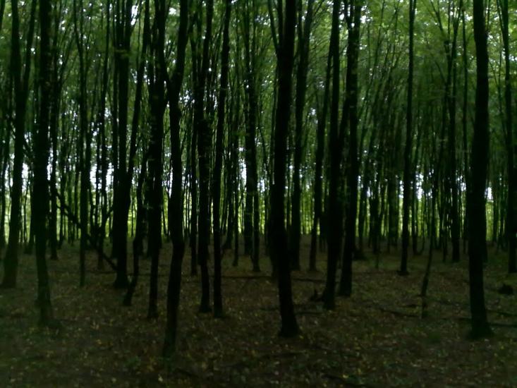 Білотин з panoramio.com - Белотин