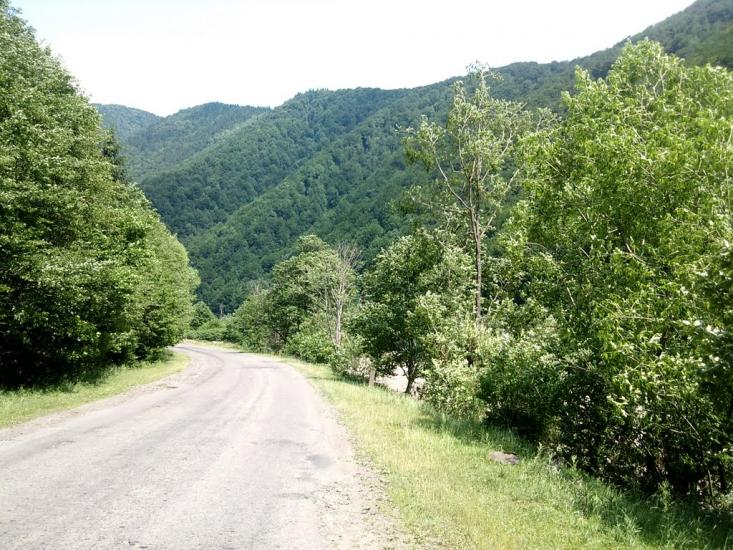 Усть-Чорна з panoramio.com - Усть-Чорна