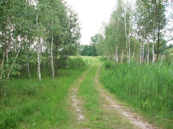 Буда з panoramio.com - Буда