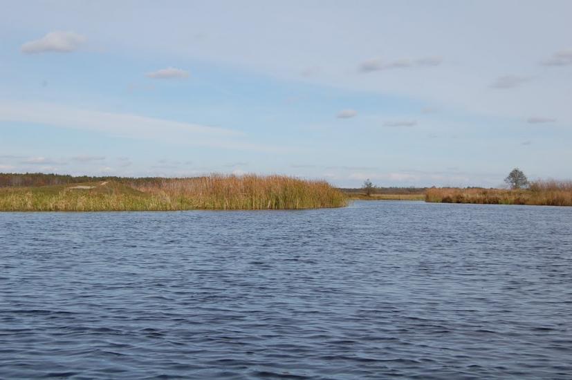 Хабарище з panoramio.com - Хабарище