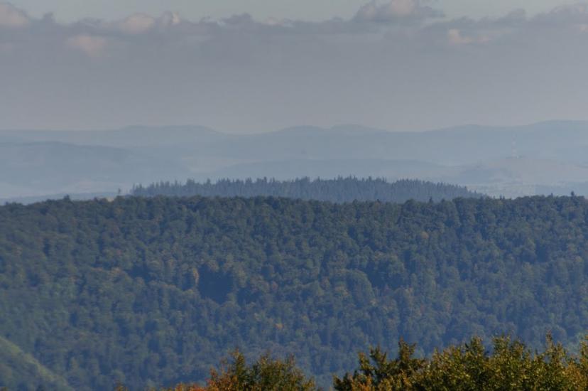 Гусний з panoramio.com - Гусний