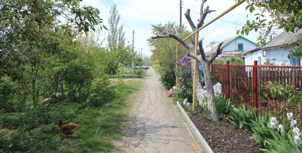 Насипне з panoramio.com - Насипне