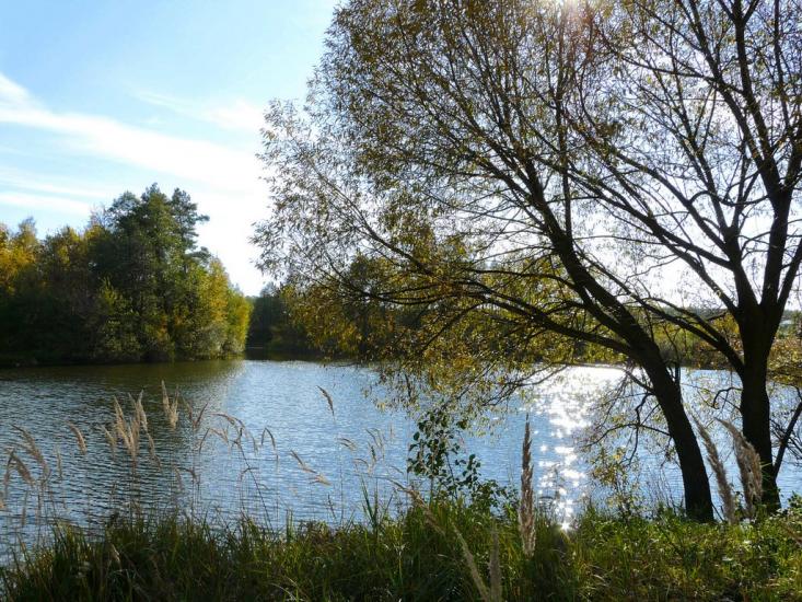 Житомир з panoramio.com - Житомир