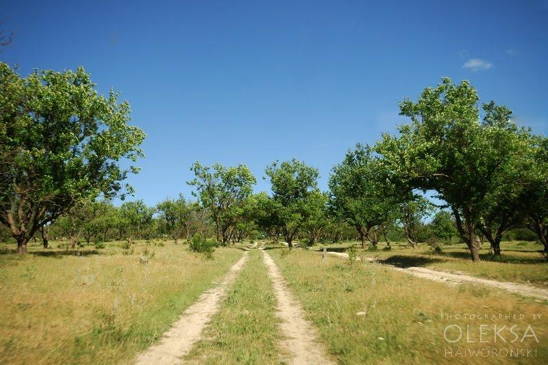 Білокам'яне з panoramio.com - Bilokamyane