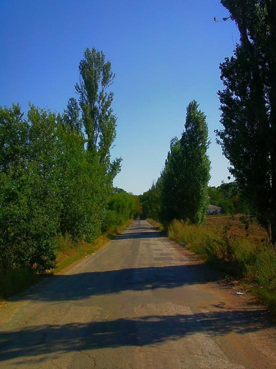 Каштанове з panoramio.com - Каштановое