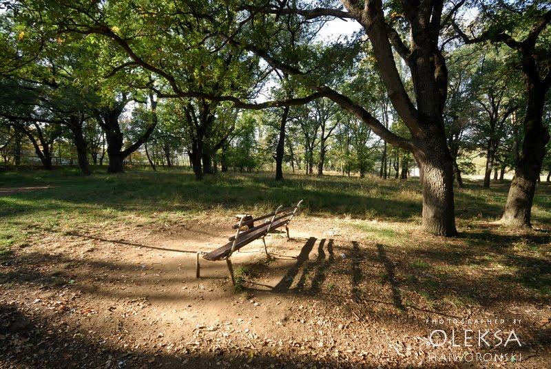 Каштанове з panoramio.com - Каштановое