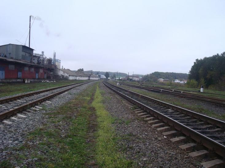 Буйволівці з panoramio.com - Буйволівці