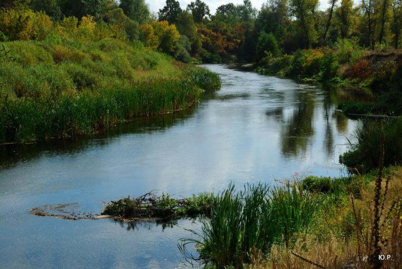 Слиньків Яр з panoramio.com - Slynkiv Jar