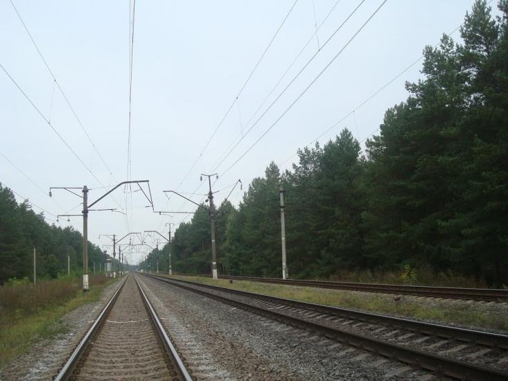 Цвітоха з panoramio.com - Tsvitokha