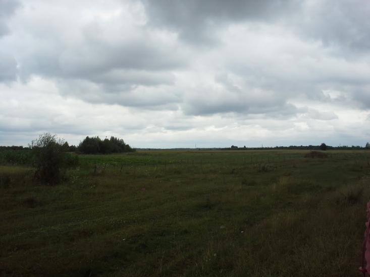 Сошники з panoramio.com - Сошники