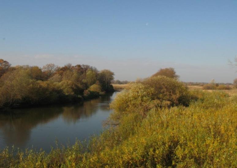 Литовеж з panoramio.com - Литовеж
