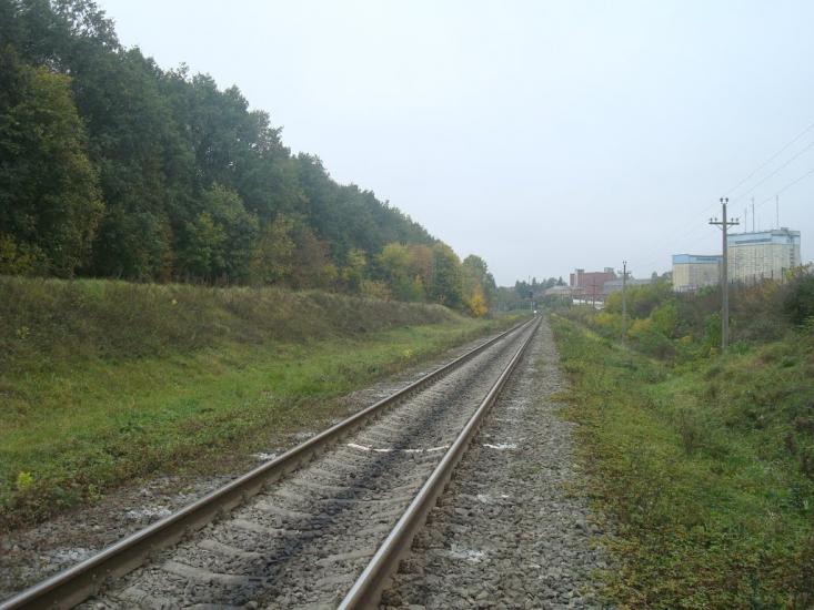Буйволівці з panoramio.com - Буйволівці