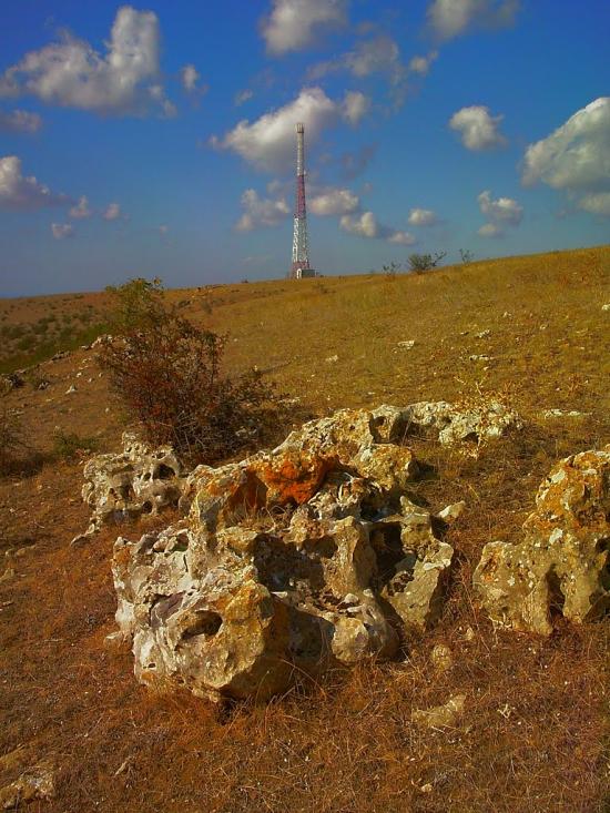 Рєпіне з panoramio.com - Рєпіне