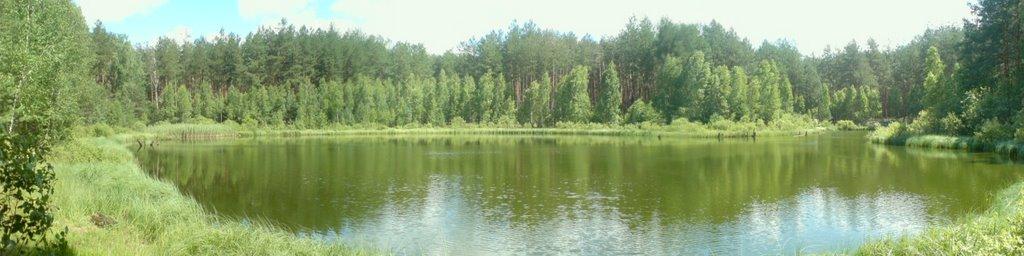 Долина з panoramio.com - Долина