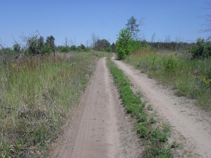 Слов'яносербськ з panoramio.com - Славяносербск
