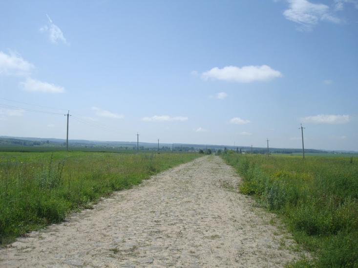 Черепова з panoramio.com - Черепова