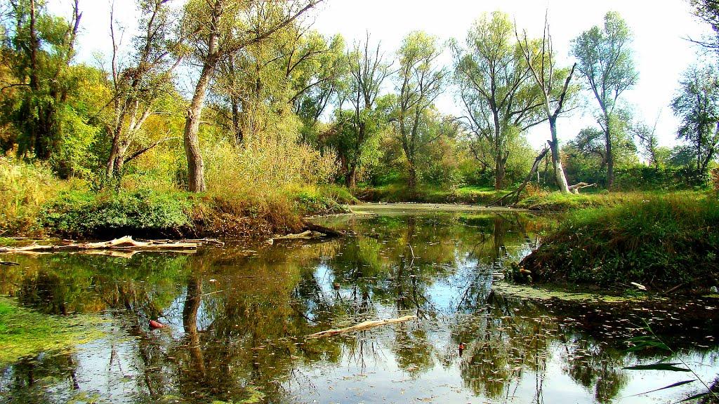Дніпрельстан з panoramio.com - Дніпрельстан