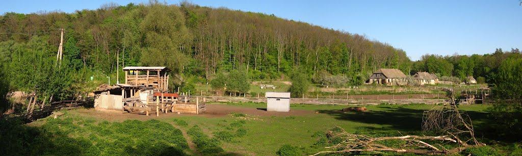 Микільське з panoramio.com - Никольское