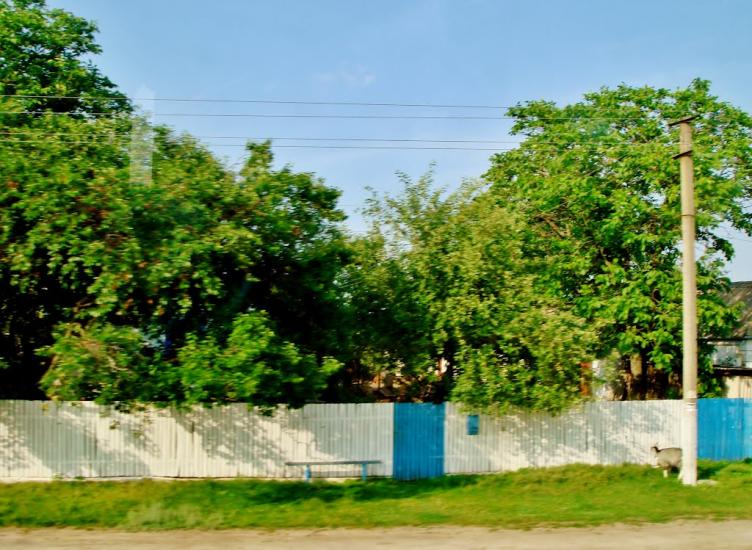 Бране Поле з panoramio.com - Браное Поле