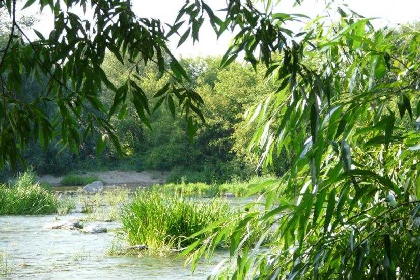 Мала Мечетня з panoramio.com - Малая Мечетня