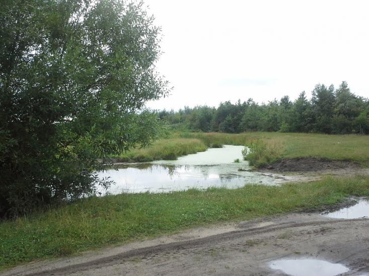 Сошники з panoramio.com - Сошники
