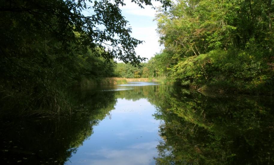 Орлівщина з panoramio.com - Орловщина