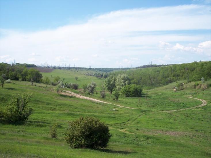 Сурсько-Литовське з panoramio.com - Сурско-Литовское