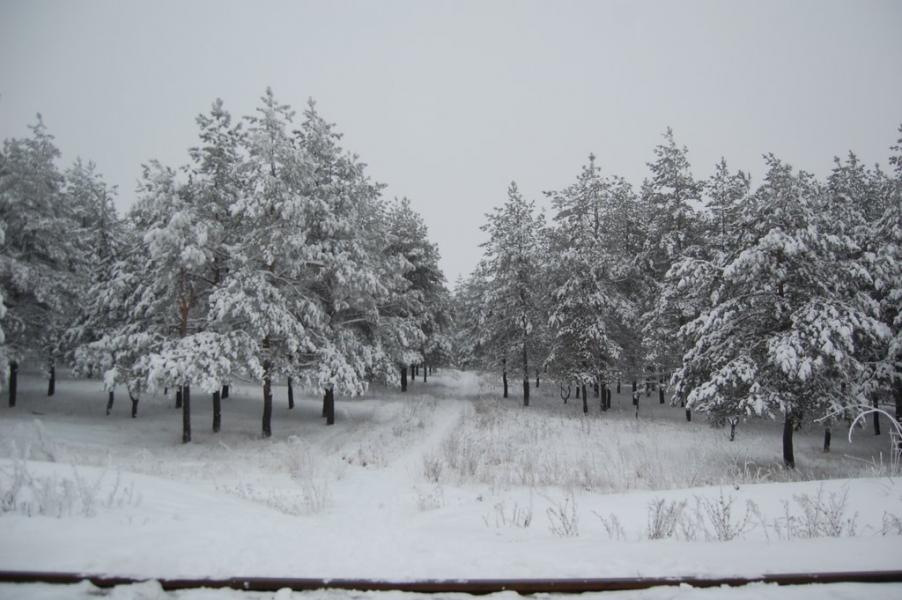Кринична з panoramio.com - Криничная