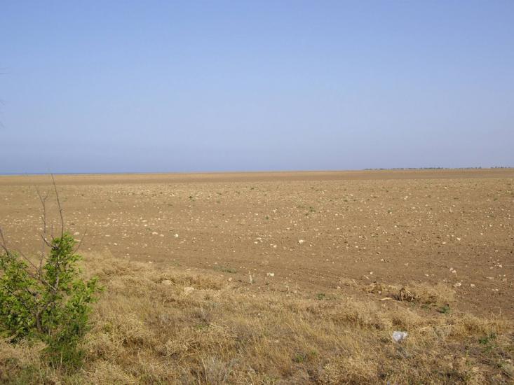 Вітине з panoramio.com - Витино