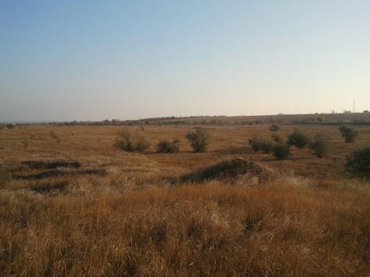 Ольшанське з panoramio.com - Ольшанське