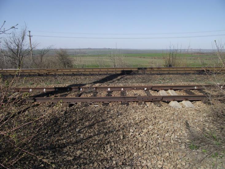 Цупки з panoramio.com - Цупки