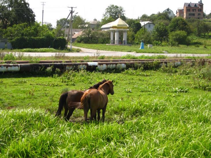Дем'янів з panoramio.com - Демьянов