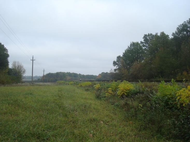 Буйволівці з panoramio.com - Буйволовцы