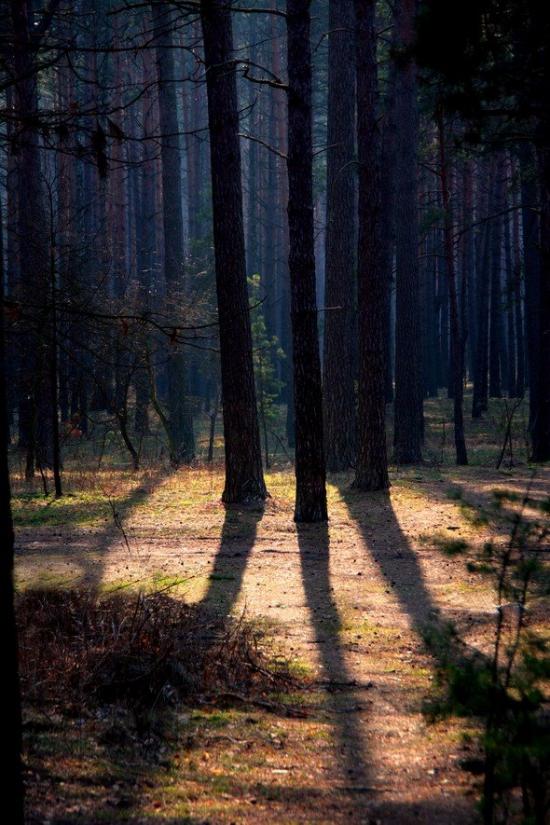 Лютіж з panoramio.com - Лютеж