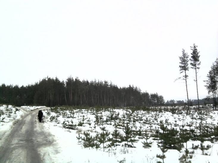 Черемушне з panoramio.com - Черемушное