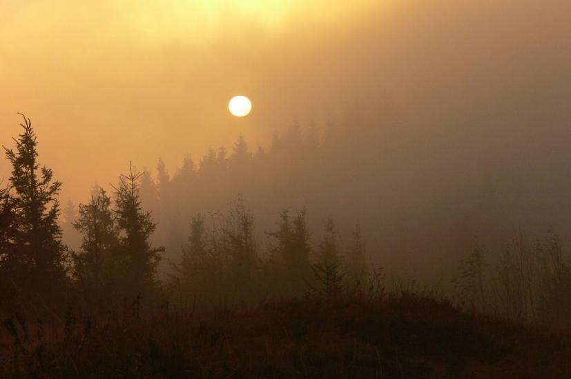 Кам'янка з panoramio.com - Каменка