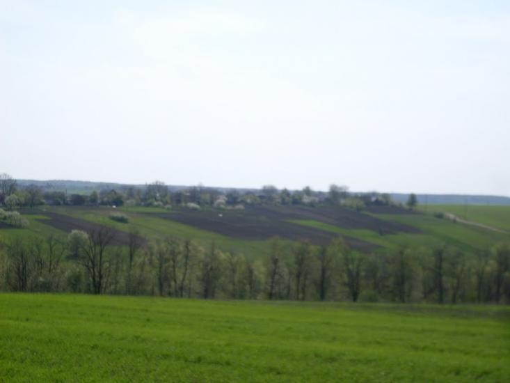 Куна з panoramio.com - Kuna