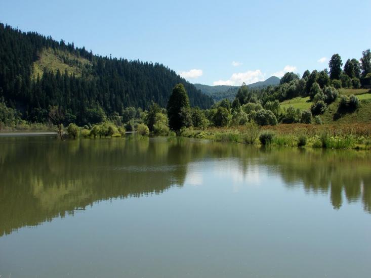 Явора з panoramio.com - Явора