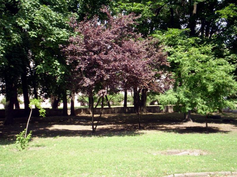 Глеюватка з panoramio.com - Глееватка