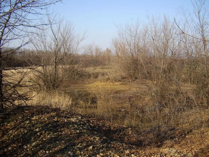 Фрунзе з panoramio.com - Фрунзе