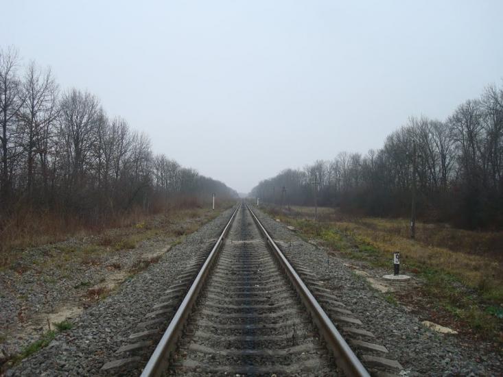 Лошківці з panoramio.com - Лошковцы