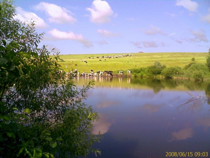 Новосілки з panoramio.com - Новоселки
