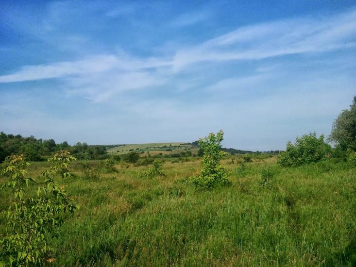 Новоукраїнка з panoramio.com - Новоукраїнка