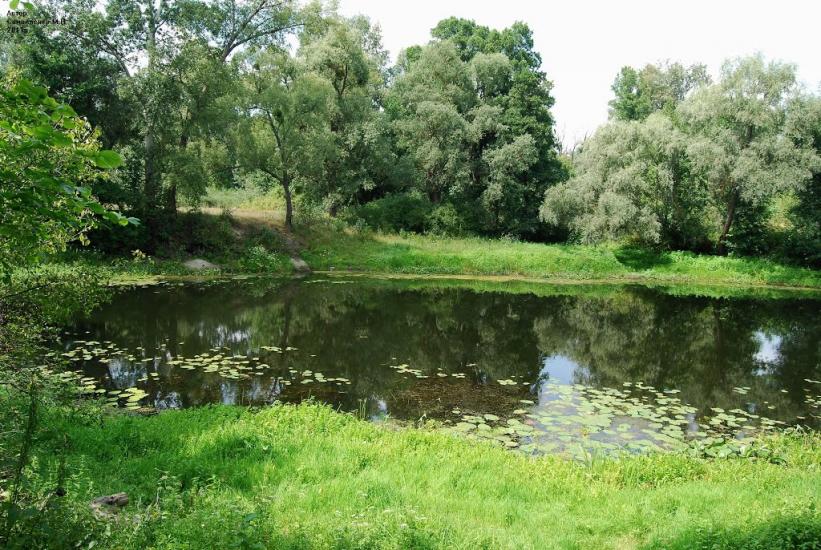 Лабурівка з panoramio.com - Лабурівка