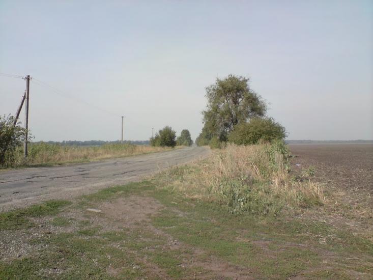 Веселе Поле з panoramio.com - Веселое Поле